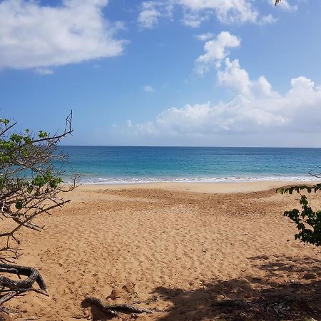 L'Aurielle, Tout Le Confort A 500M De La Plage 圣罗斯 外观 照片