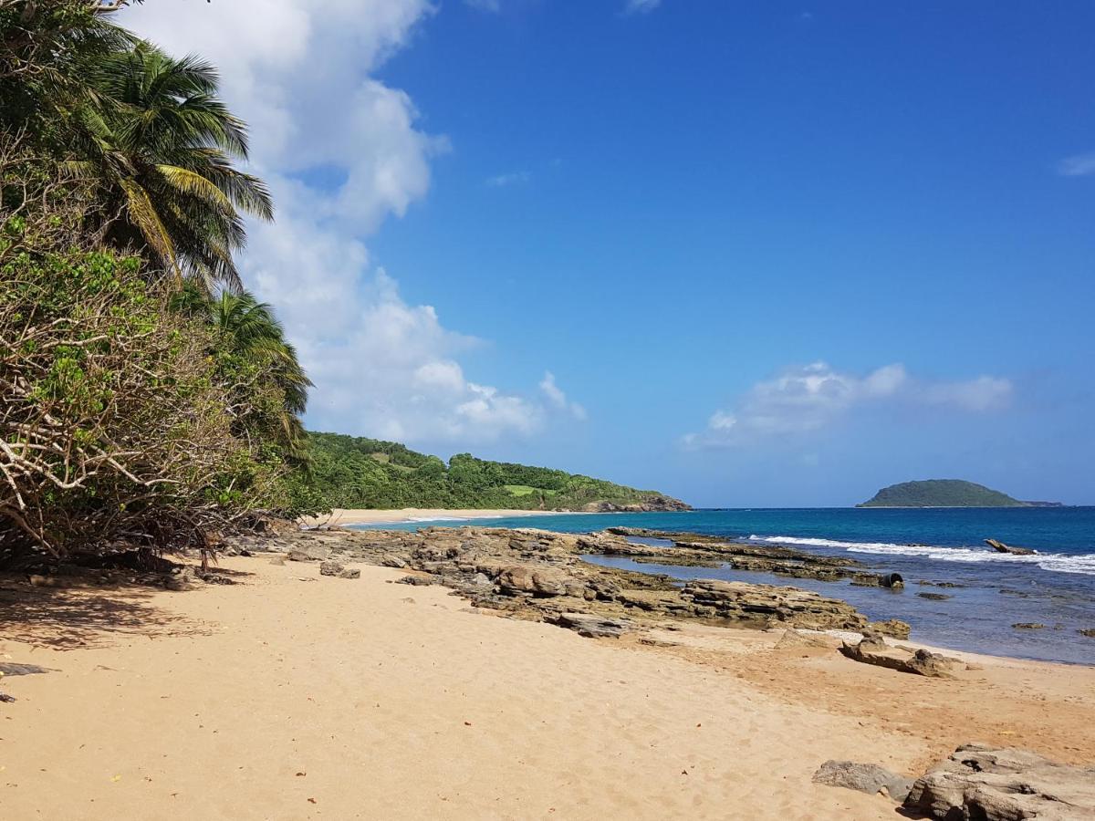 L'Aurielle, Tout Le Confort A 500M De La Plage 圣罗斯 外观 照片